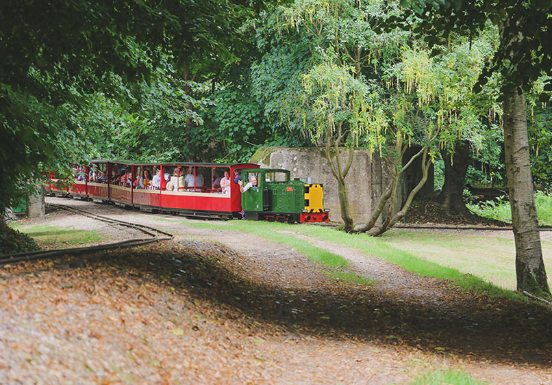 Family-Friendly Activities at Thaxted Festival